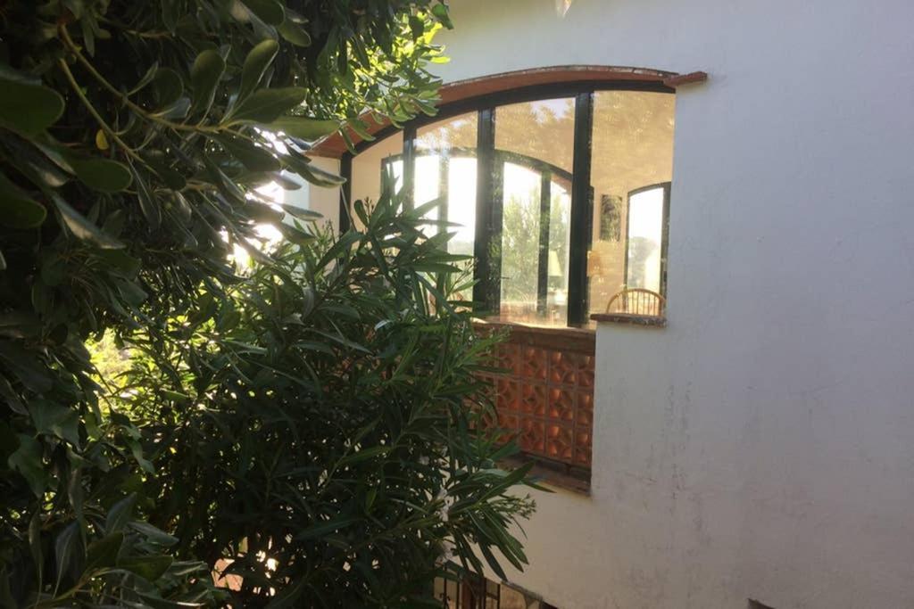 Jolie Villa Vue Mer - 100Km Au Nord De Barcelone - パルス エクステリア 写真